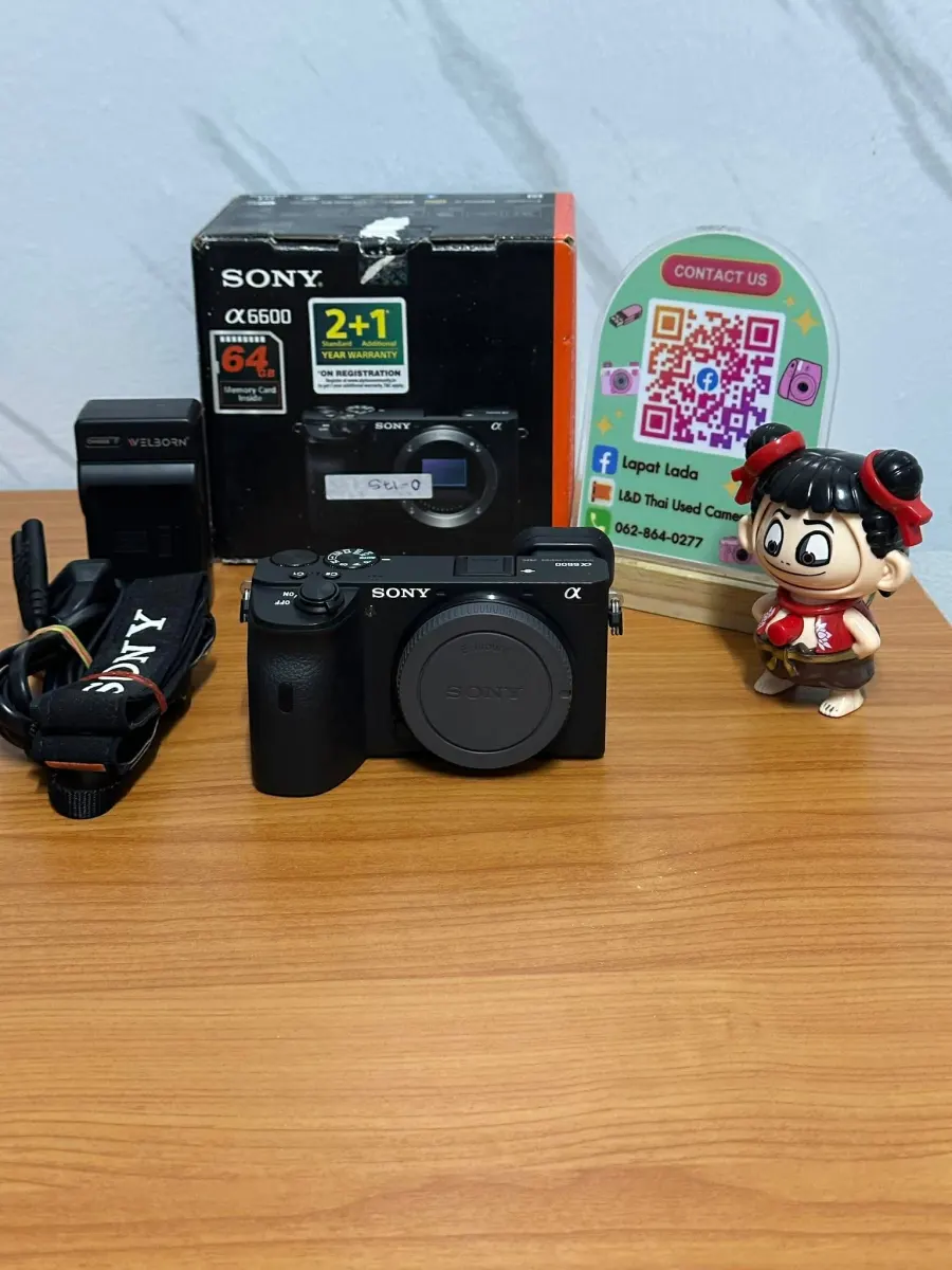 Sony A6600 body