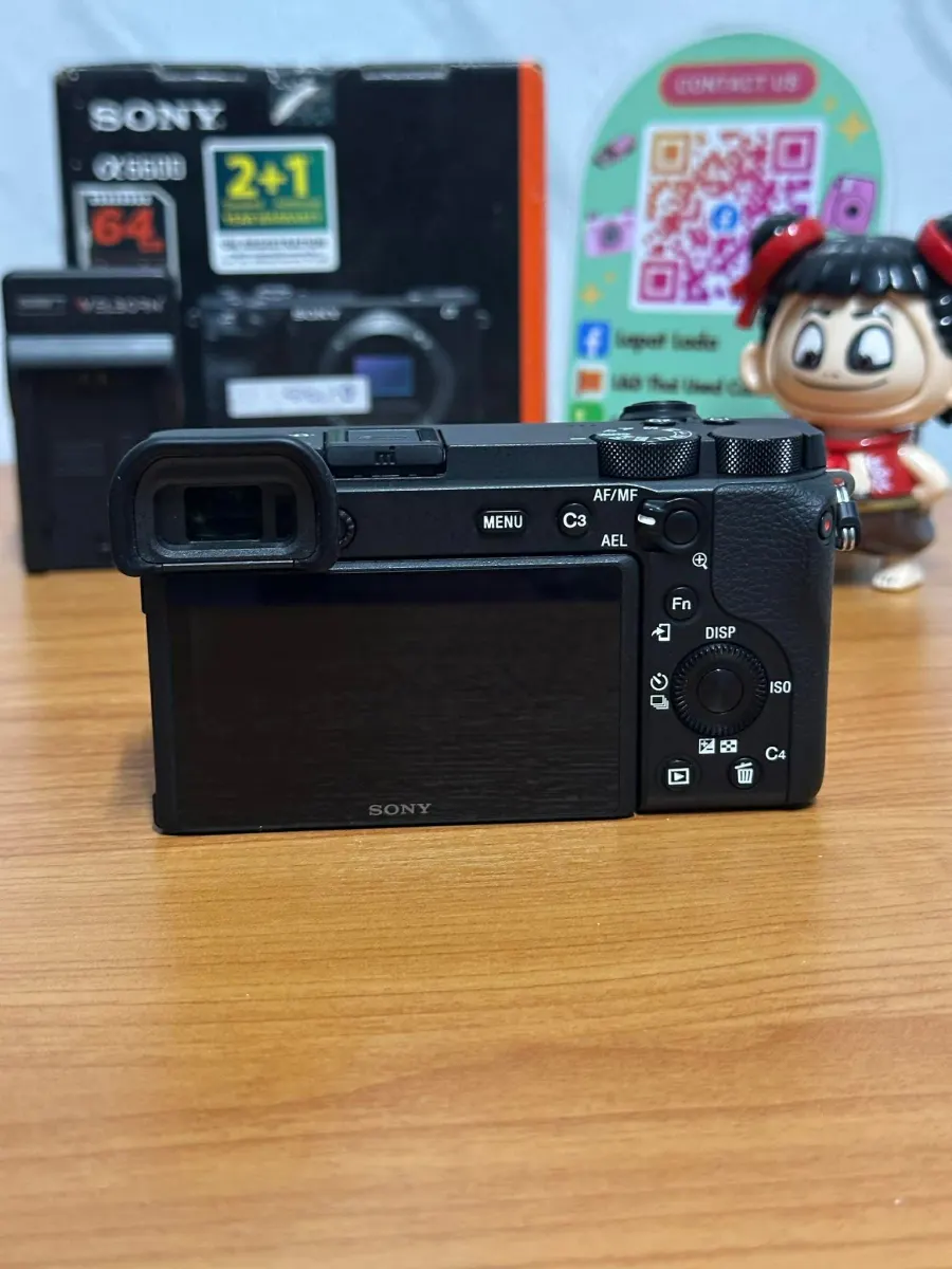 Sony A6600 body