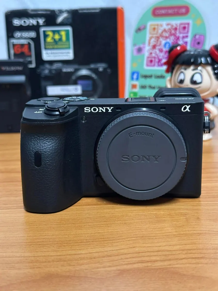 Sony A6600 body