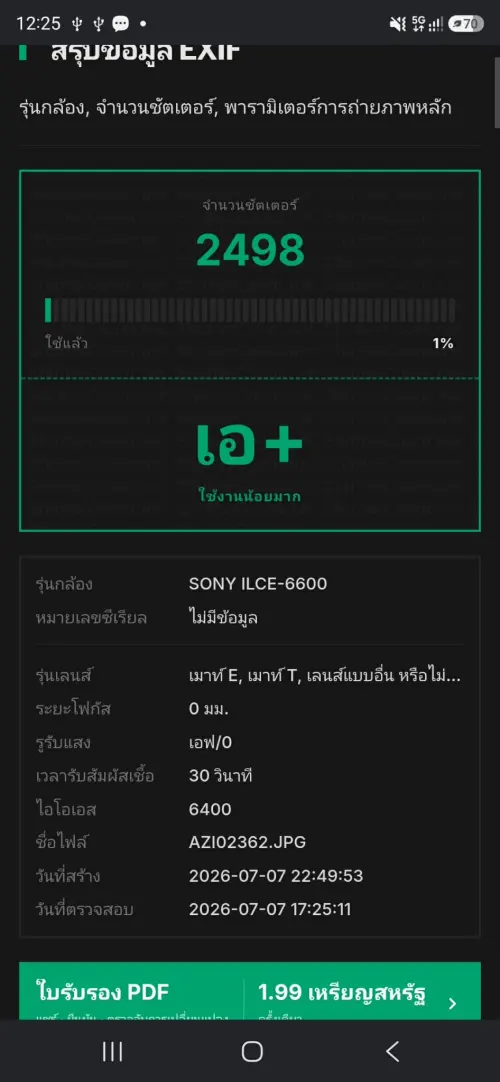 Sony A6600 body