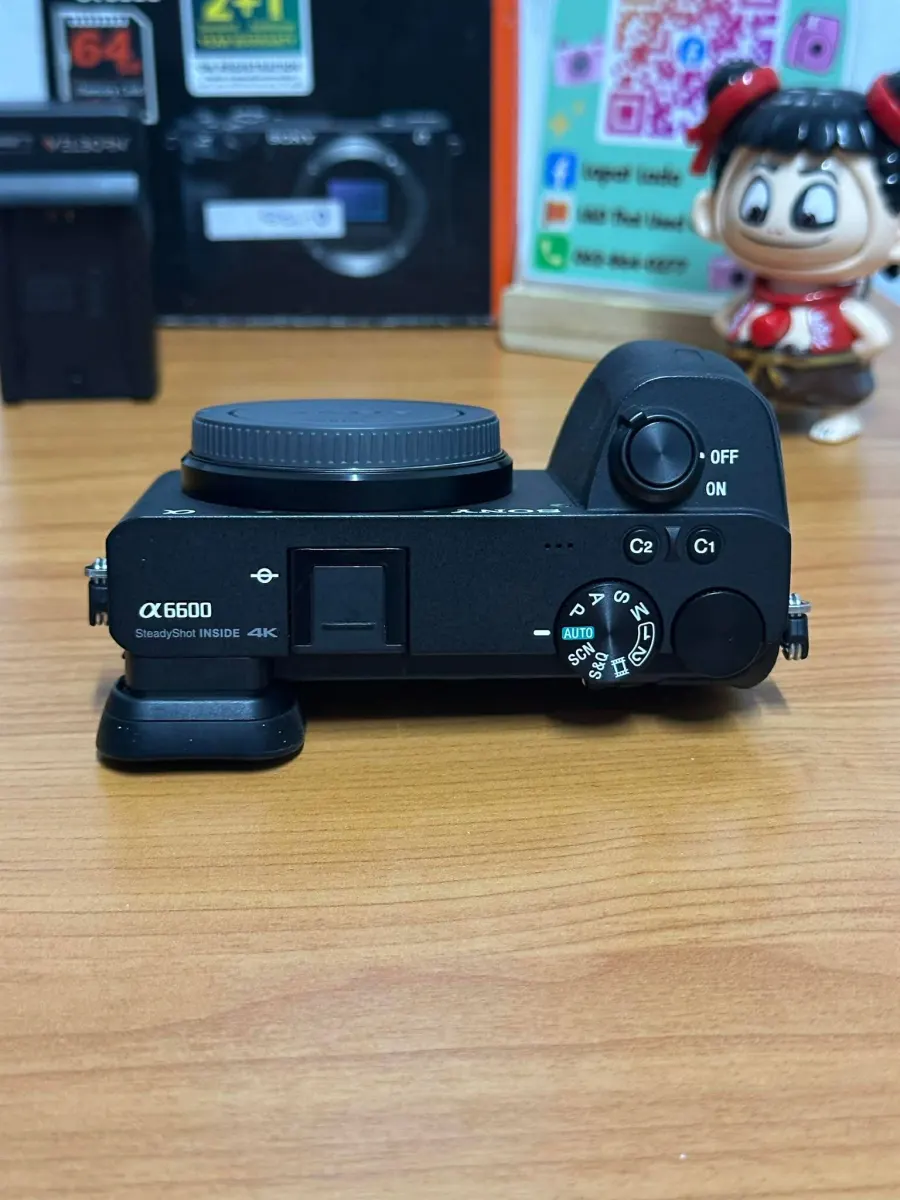 Sony A6600 body