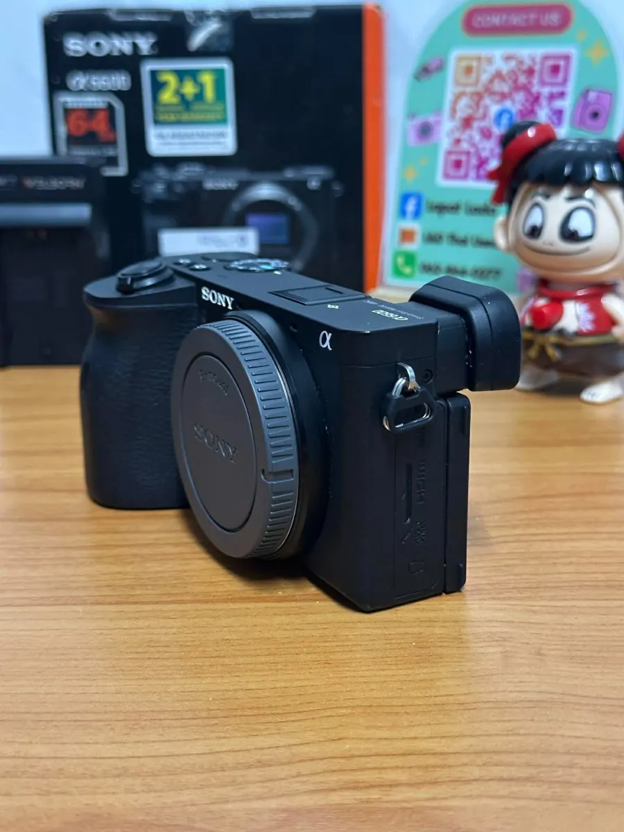Sony A6600 body