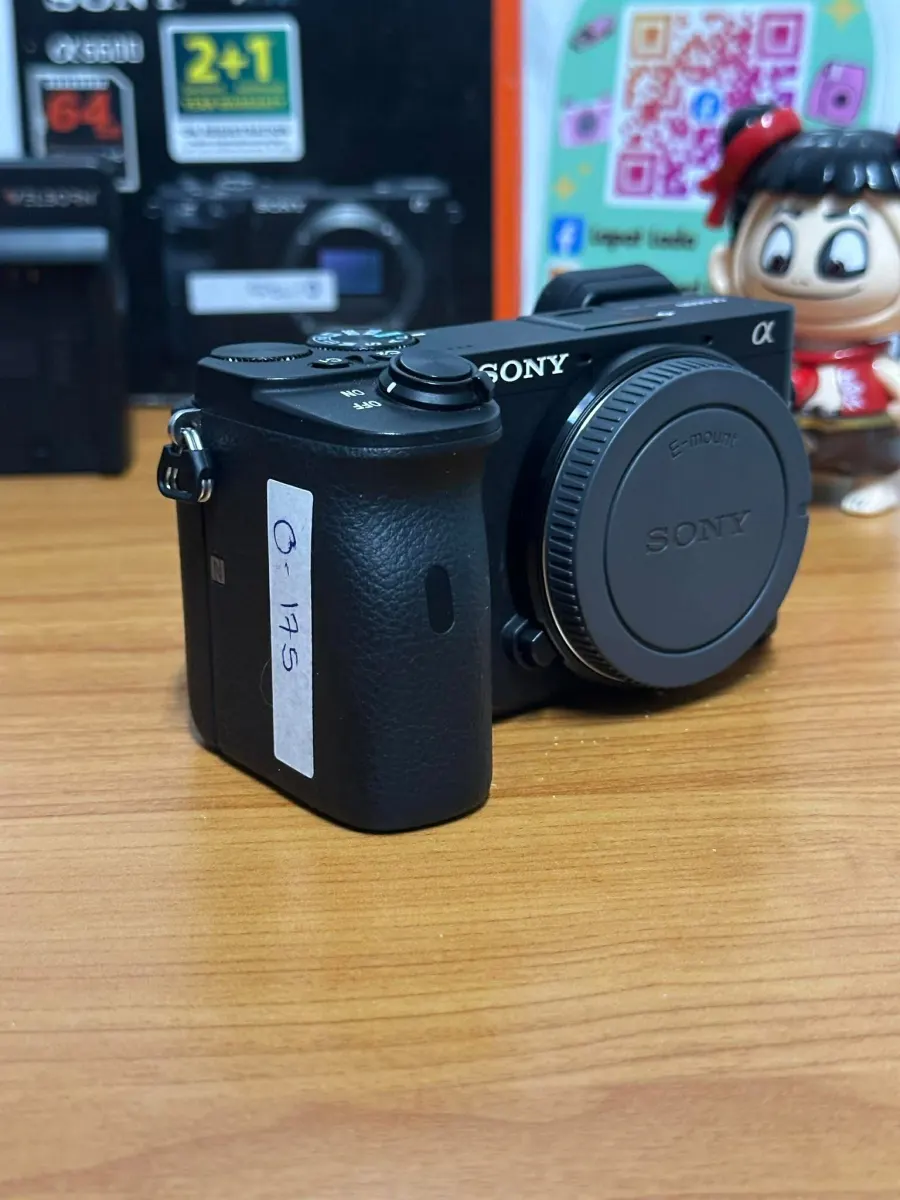 Sony A6600 body